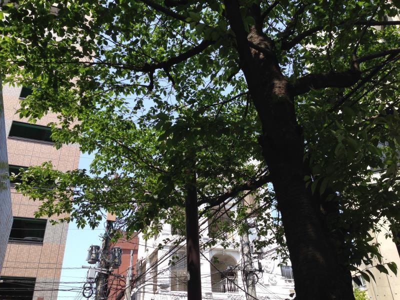 קיטקיושו Fukuoka Guesthouse Little Asia Kokura מראה חיצוני תמונה